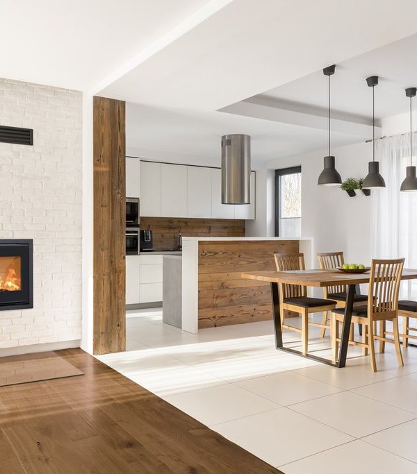 scan 1006 CS wood burning stove in a living room